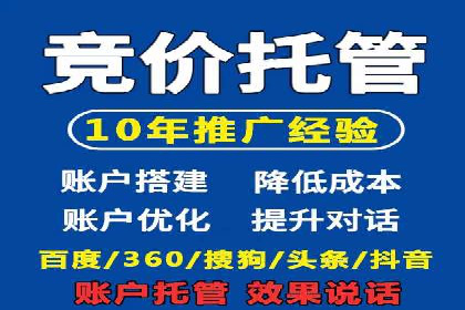 专业SEM服务托管方案案例分析